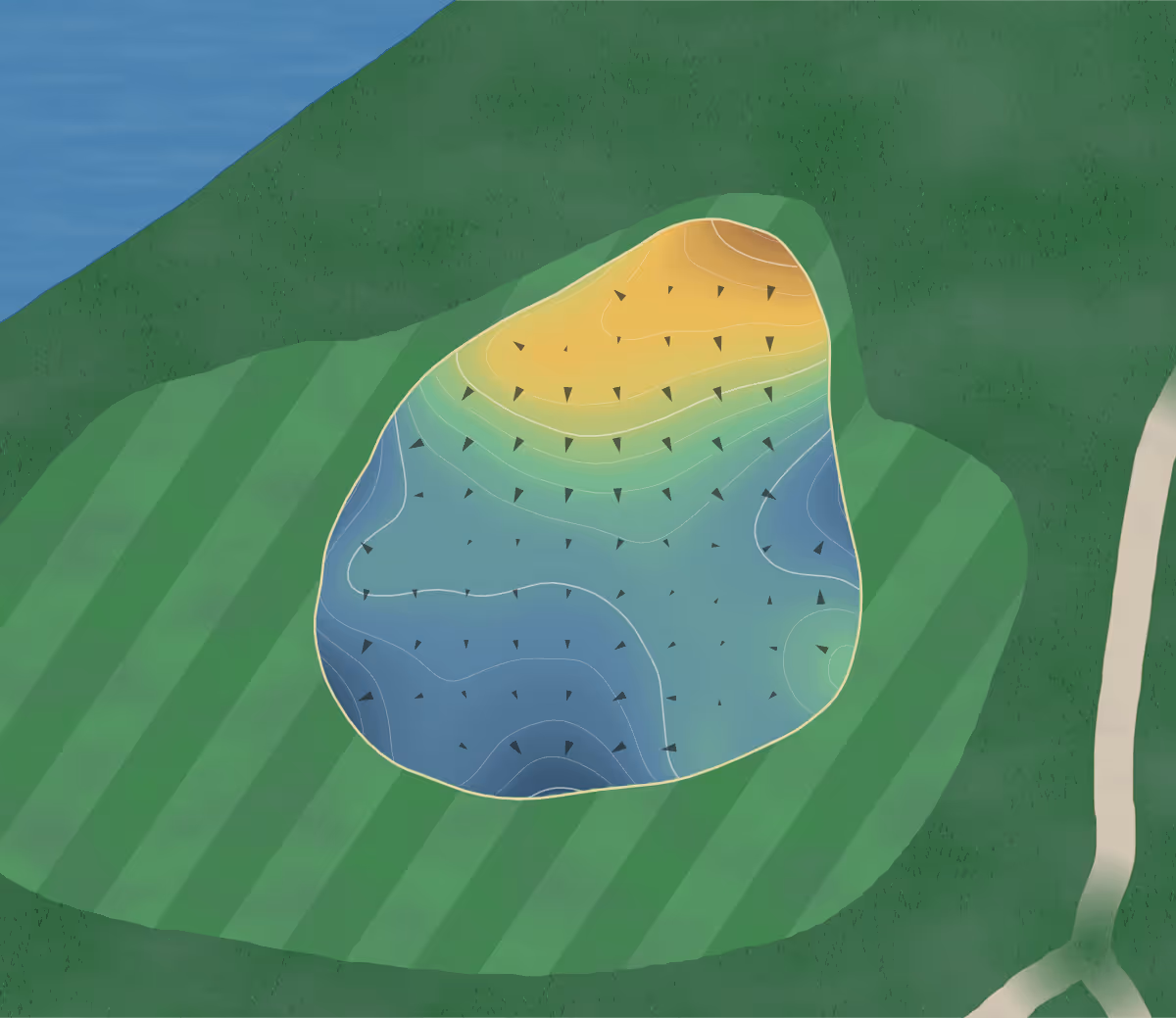 Green contour map of 12 Oaks in Holly Springs, North Carolina — 215 elevation contours at a 3-inch interval with fall-line arrows, traced from 1-meter lidar