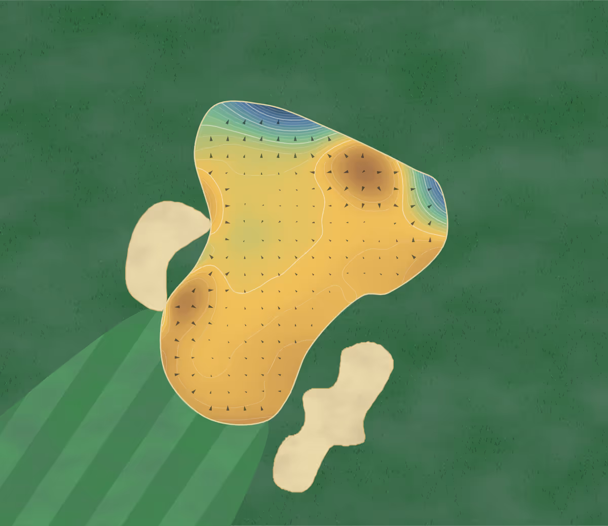 Green contour map of Abbeydale in Sheffield, England: 327 elevation contours at a 8-centimeter interval with fall-line arrows, traced from 1-meter lidar
