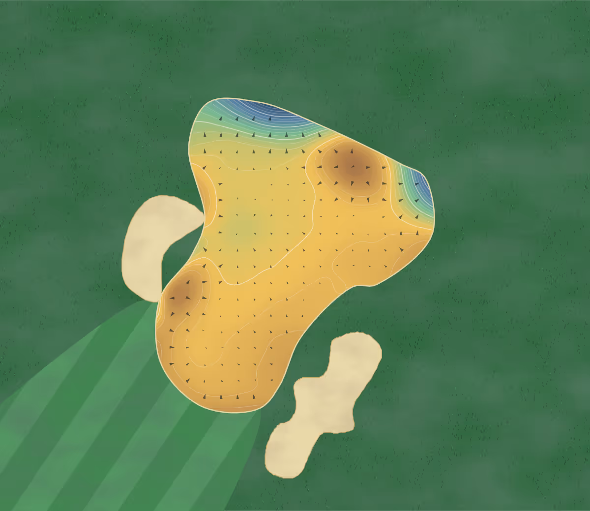 Green contour map of Abbeydale in Sheffield, England — 350 elevation contours at a 8-centimeter interval with fall-line arrows, traced from 1-meter lidar