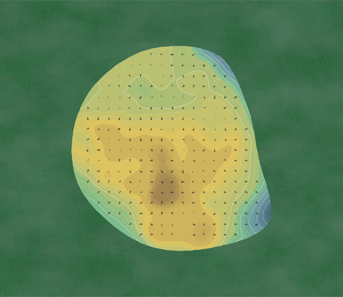 Green contour map of Acadian Hills in Lafayette, Louisiana — 228 elevation contours at a 3-inch interval with fall-line arrows, traced from 1-meter lidar