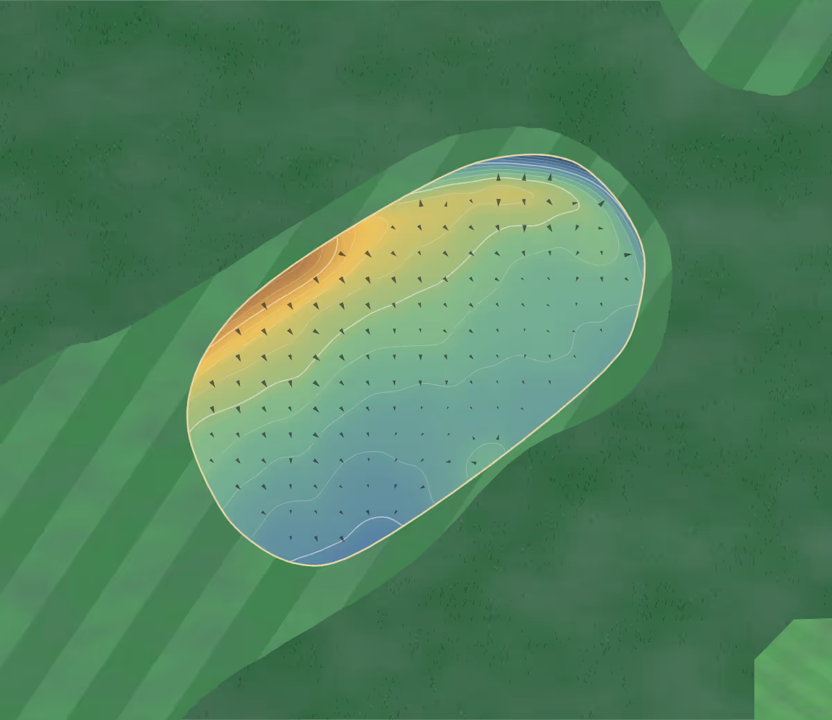 Green contour map of Accrington in Accrington, England — 208 elevation contours at a 8-centimeter interval with fall-line arrows, traced from 1-meter lidar