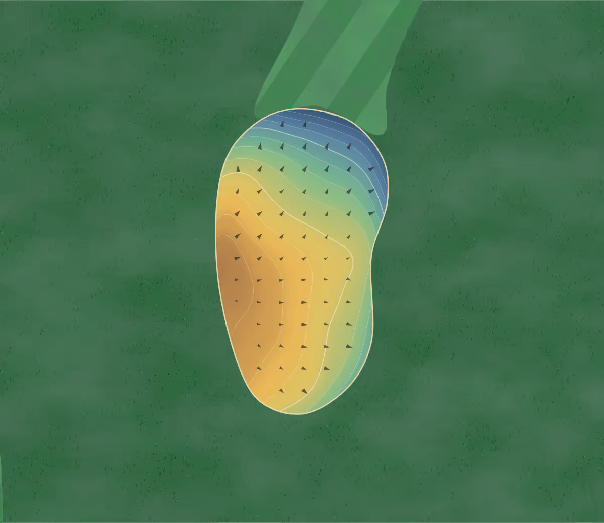 Green contour map of Acorn Park in Saint Ansgar, Iowa: 96 elevation contours at a 3-inch interval with fall-line arrows, traced from 1-meter lidar