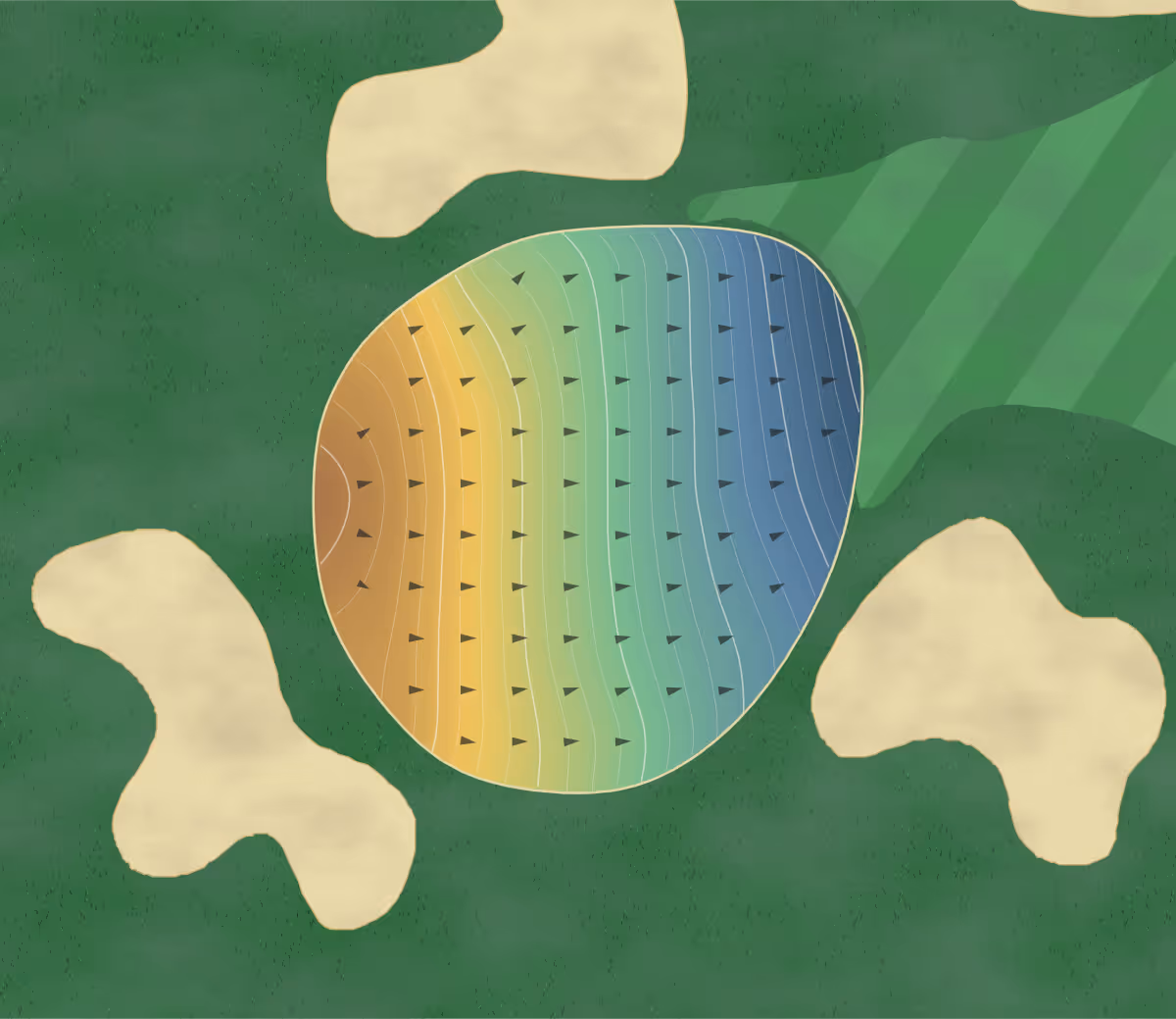 Green contour map of Akakura Golf Club in Japan — 242 elevation contours at a 8-centimeter interval with fall-line arrows, traced from 1-meter lidar