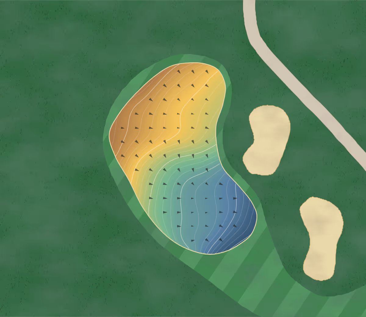 Green contour map of Akarana in Auckland, New Zealand — 233 elevation contours at a 8-centimeter interval with fall-line arrows, traced from 1-meter lidar