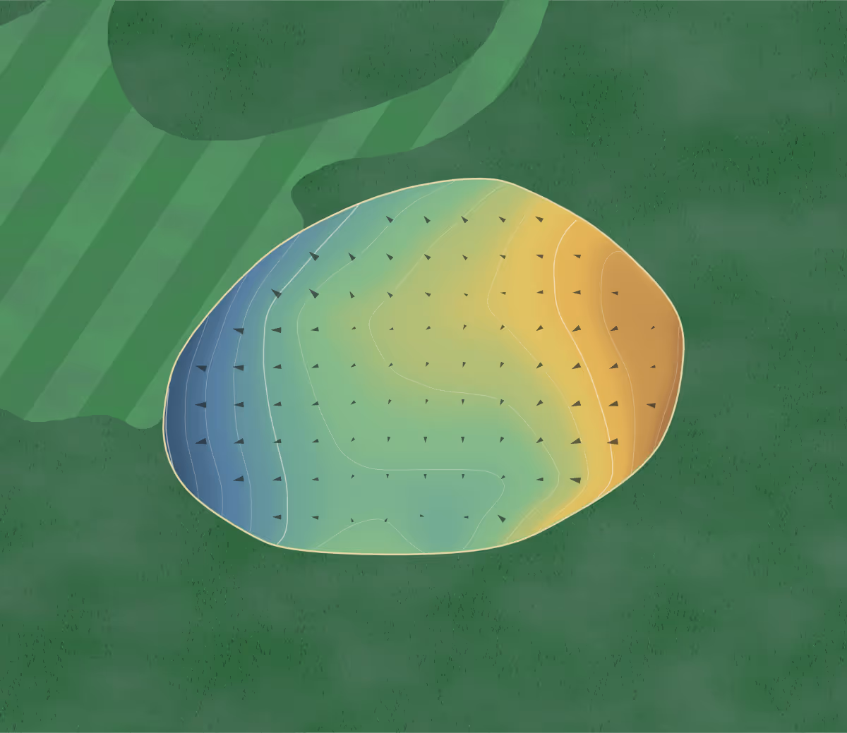 Green contour map of Akechi Golf Club - Kashio Course in Japan — 151 elevation contours at a 8-centimeter interval with fall-line arrows, traced from 1-meter lidar