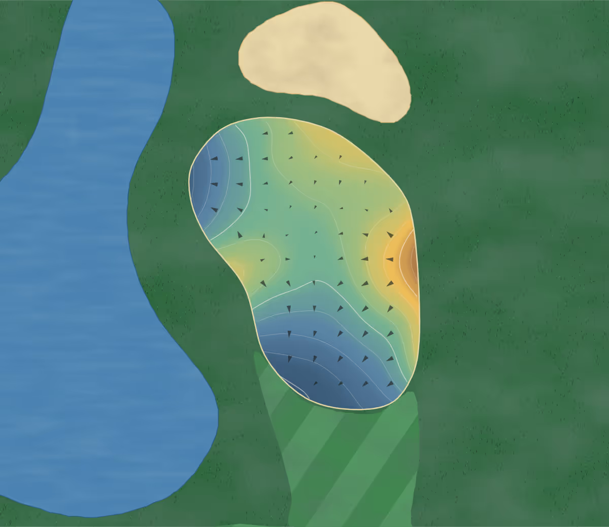 Green contour map of Albion in Annandale, Minnesota: 103 elevation contours at a 3-inch interval with fall-line arrows, traced from 1-meter lidar
