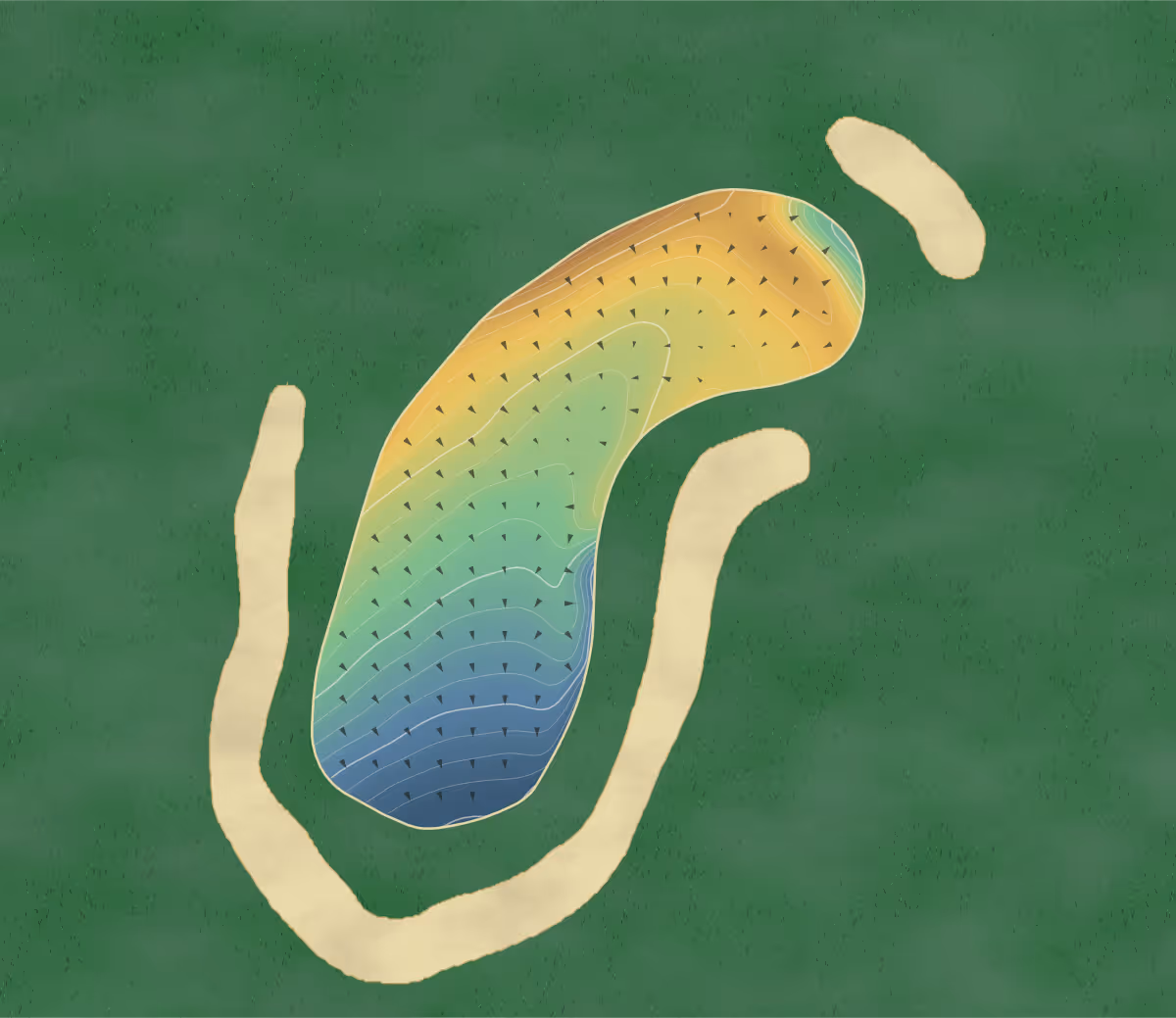 Green contour map of Aldeburgh in Aldeburgh, England: 205 elevation contours at a 8-centimeter interval with fall-line arrows, traced from 1-meter lidar