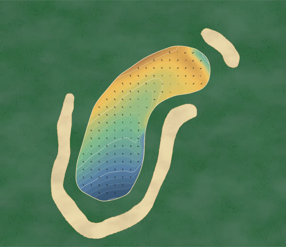 Green contour map of Aldeburgh in Aldeburgh, England — 205 elevation contours at a 8-centimeter interval with fall-line arrows, traced from 1-meter lidar