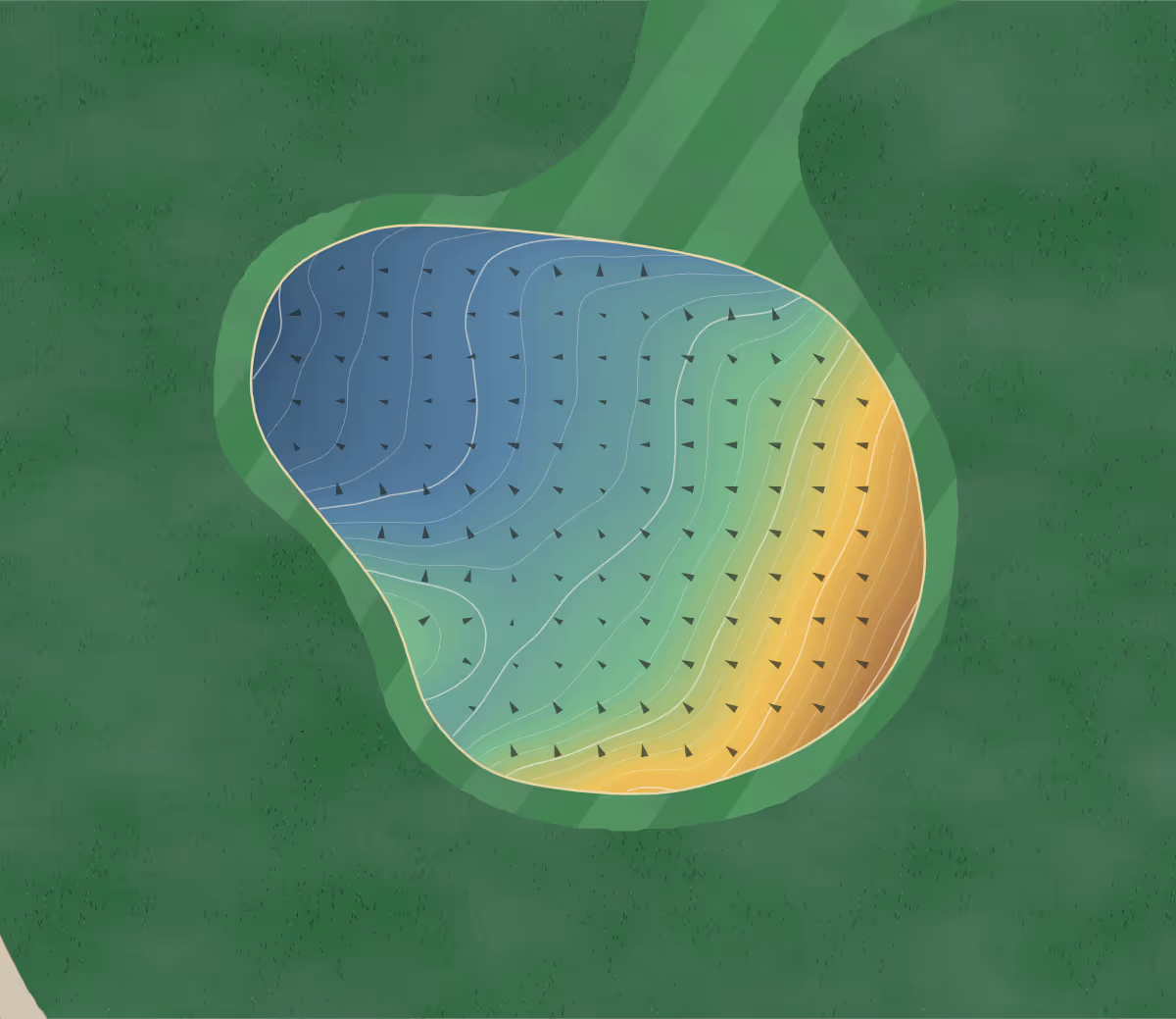 Green contour map of Allenmore Public in Tacoma, Washington — 190 elevation contours at a 3-inch interval with fall-line arrows, traced from 1-meter lidar