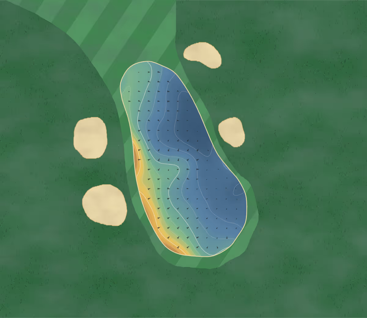 Green contour map of Alnmouth in Alnmouth, England — 153 elevation contours at a 8-centimeter interval with fall-line arrows, traced from 1-meter lidar