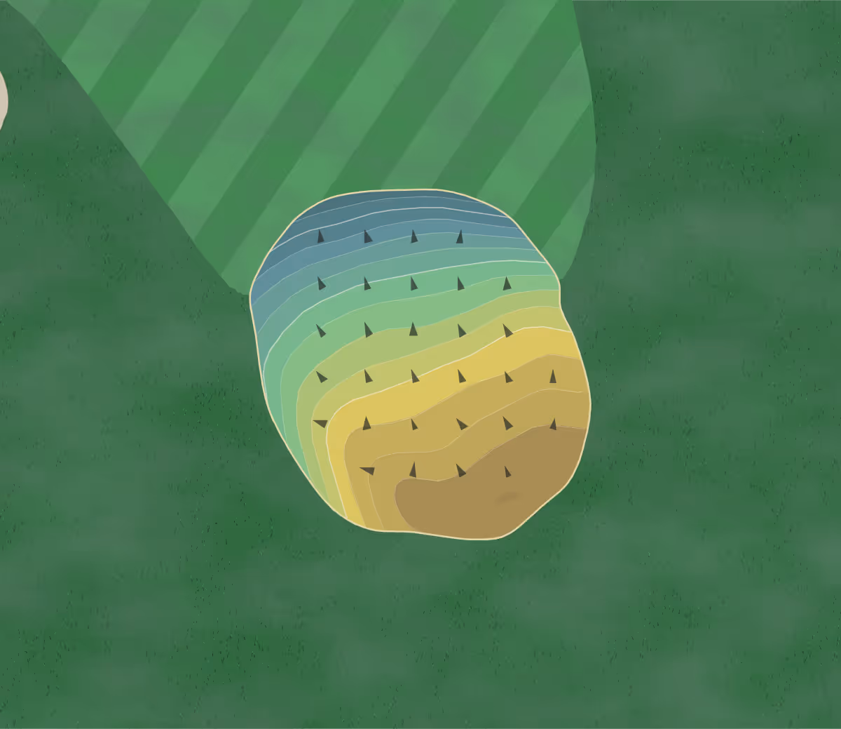 Green contour map of Alpine Golf Club in Longview, Texas — 167 elevation contours at a 3-inch interval with fall-line arrows, traced from 1-meter lidar