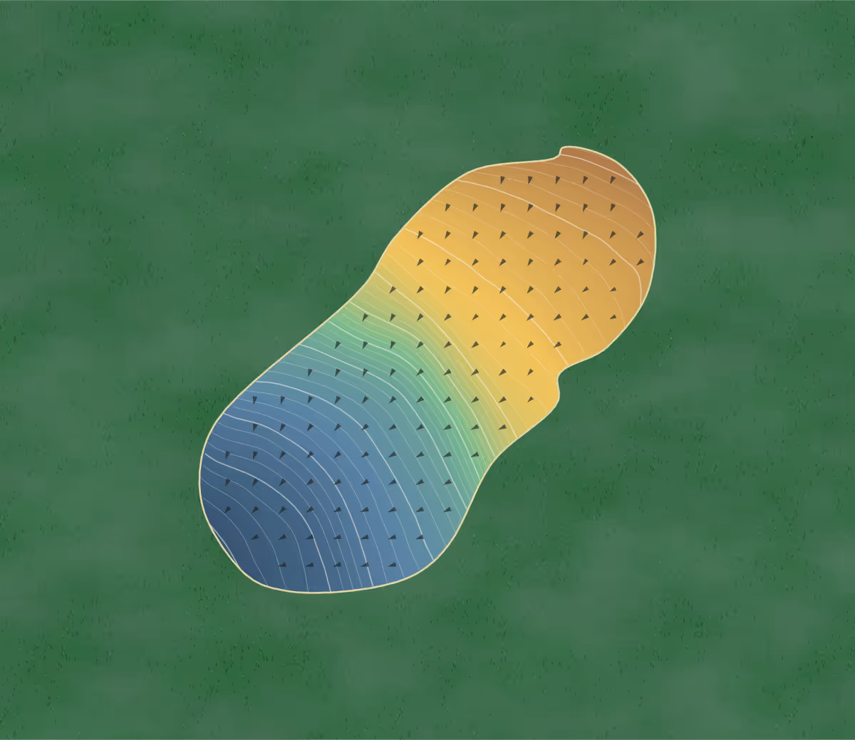 Green contour map of Alta Lake in Pateros, Washington: 208 elevation contours at a 3-inch interval with fall-line arrows, traced from 1-meter lidar