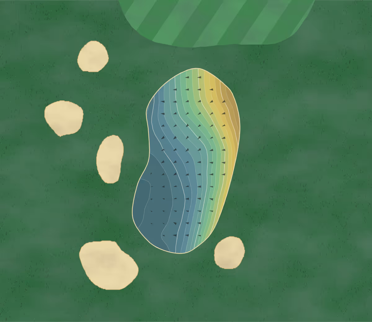 Green contour map of Alton GC in Alton, England — 122 elevation contours at a 8-centimeter interval with fall-line arrows, traced from 1-meter lidar