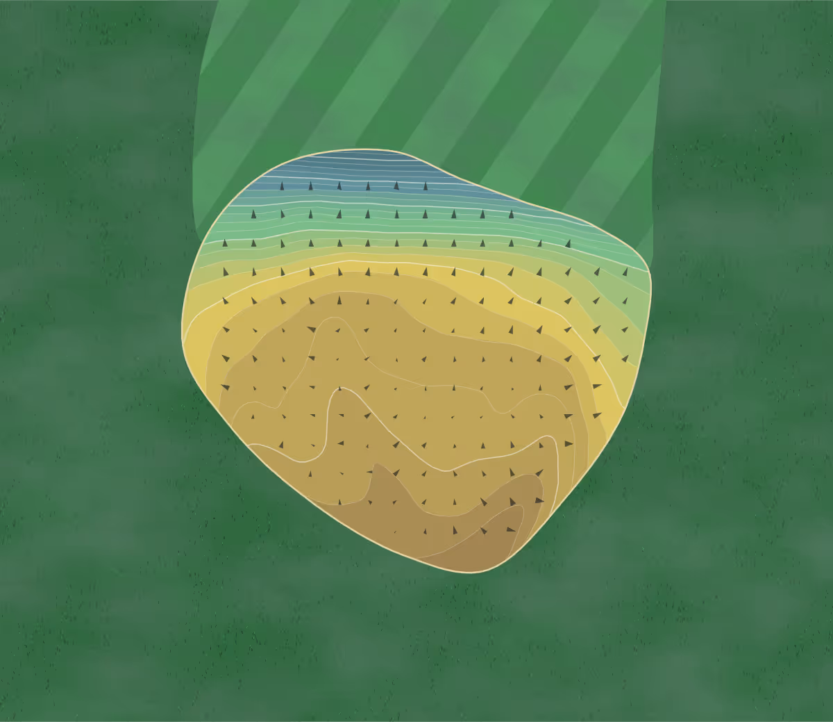 Green contour map of American Lake in Lakewood, Washington — 113 elevation contours at a 3-inch interval with fall-line arrows, traced from 1-meter lidar