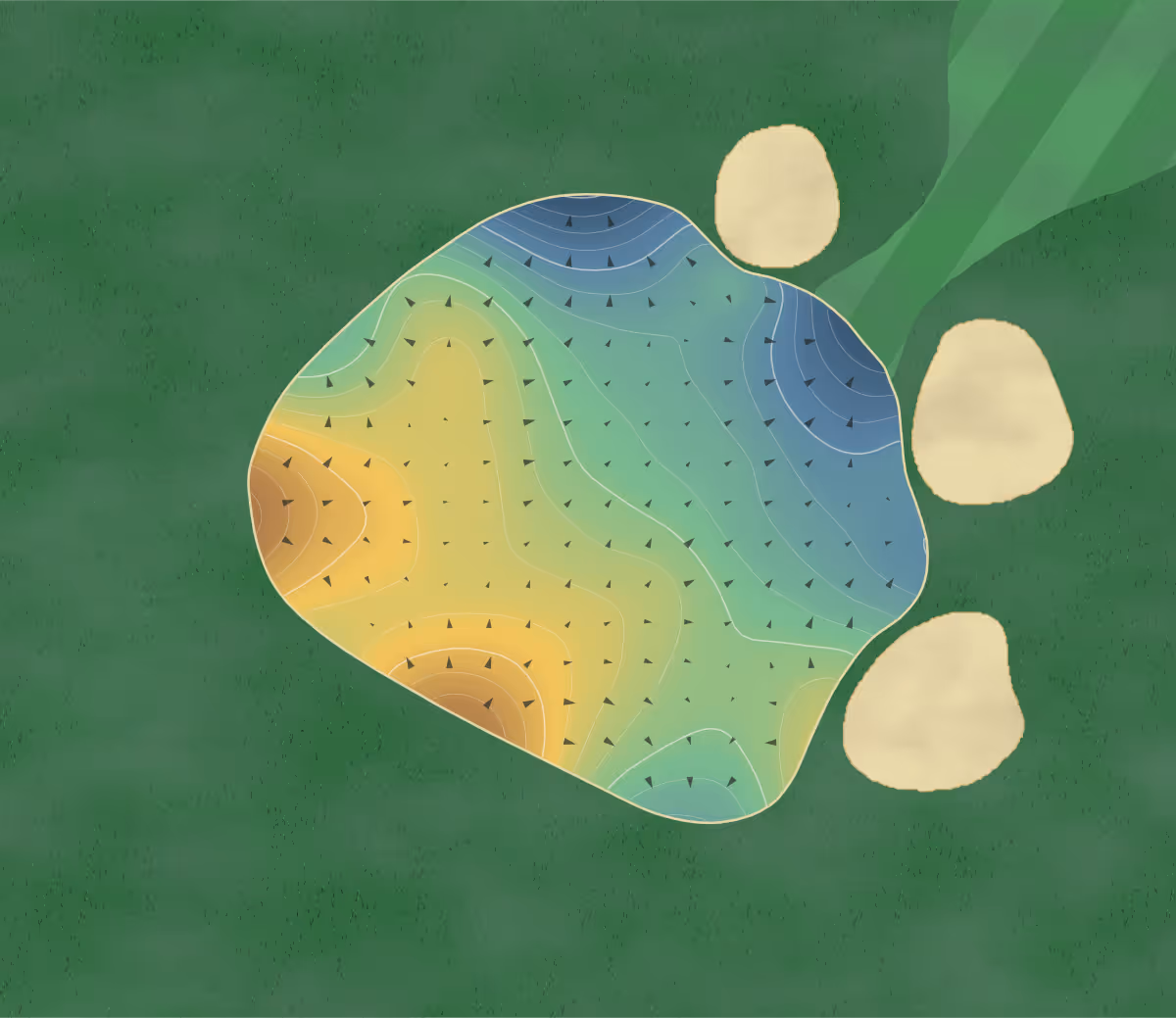 Green contour map of Ames Golf in Ames, Iowa — 224 elevation contours at a 3-inch interval with fall-line arrows, traced from 1-meter lidar