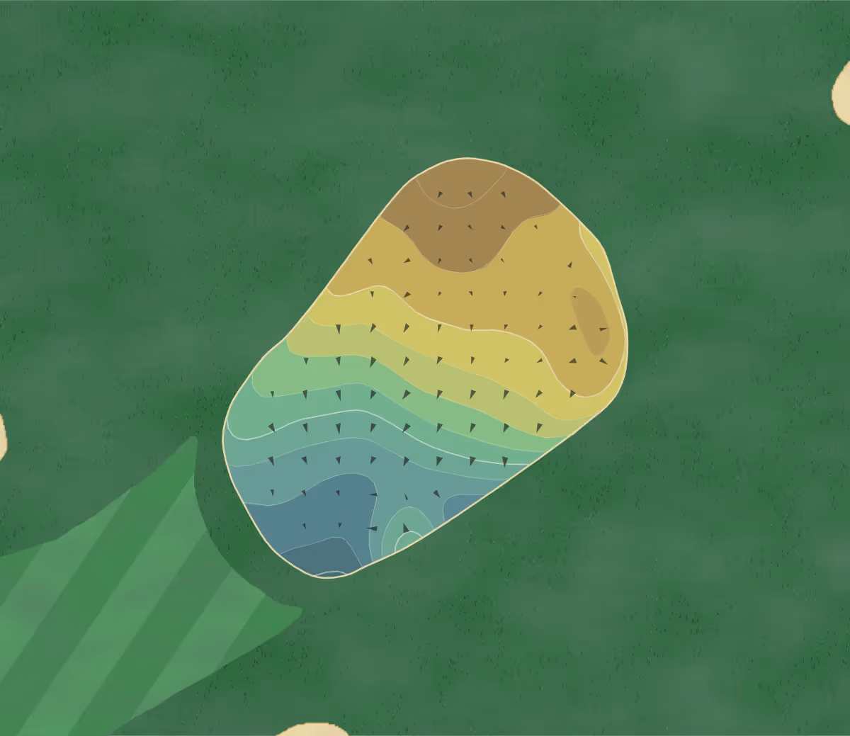 Green contour map of Amherst GC in Amherst, Massachusetts — 92 elevation contours at a 3-inch interval with fall-line arrows, traced from 1-meter lidar