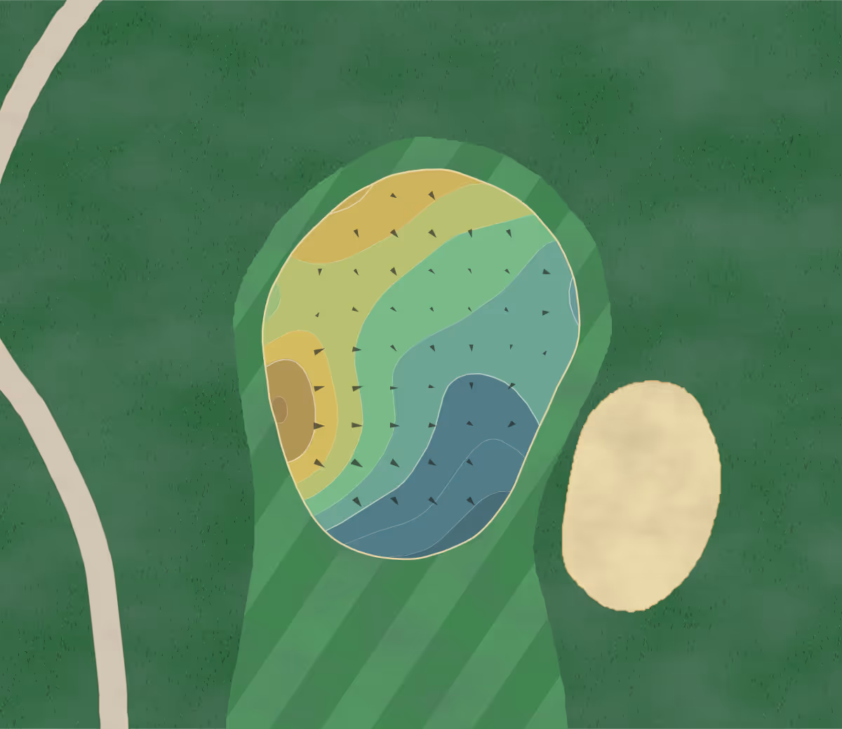Green contour map of Ancil Hoffman in Carmichael, California — 173 elevation contours at a 3-inch interval with fall-line arrows, traced from 1-meter lidar