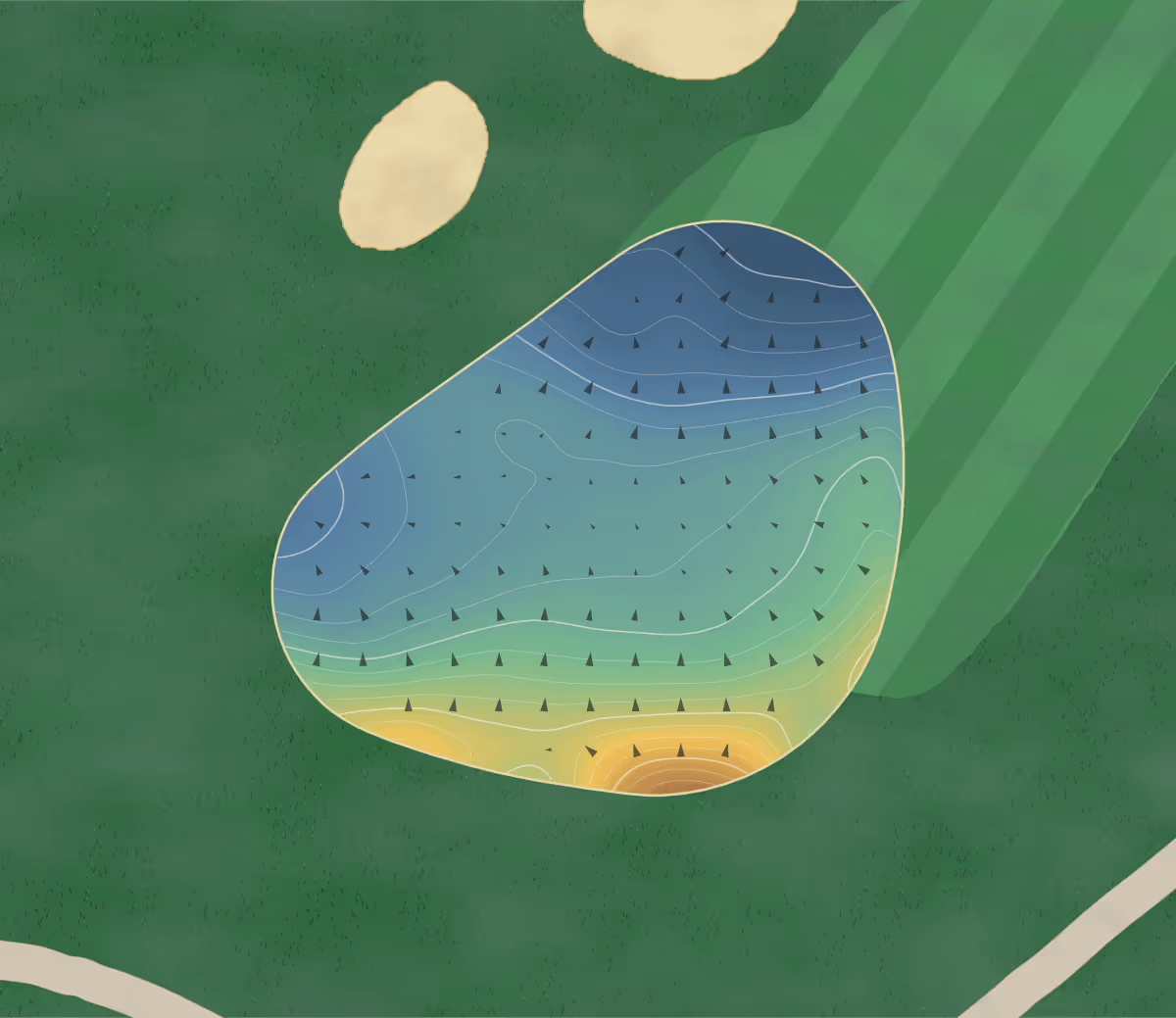 Green contour map of Angus Glen in Markham, Canada: 178 elevation contours at a 8-centimeter interval with fall-line arrows, traced from 1-meter lidar
