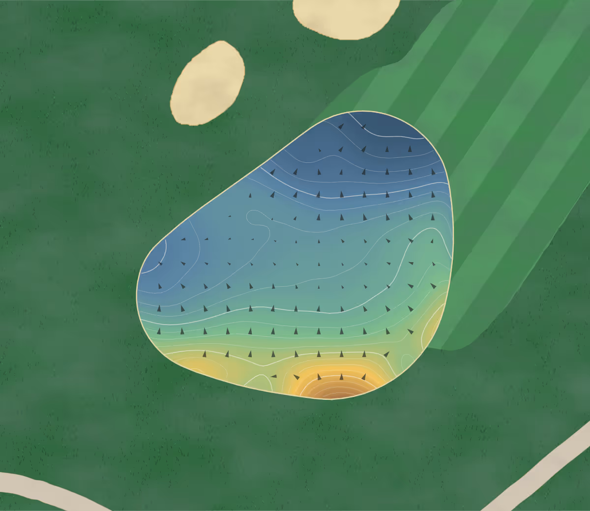 Green contour map of Angus Glen in Markham, Canada — 181 elevation contours at a 8-centimeter interval with fall-line arrows, traced from 1-meter lidar
