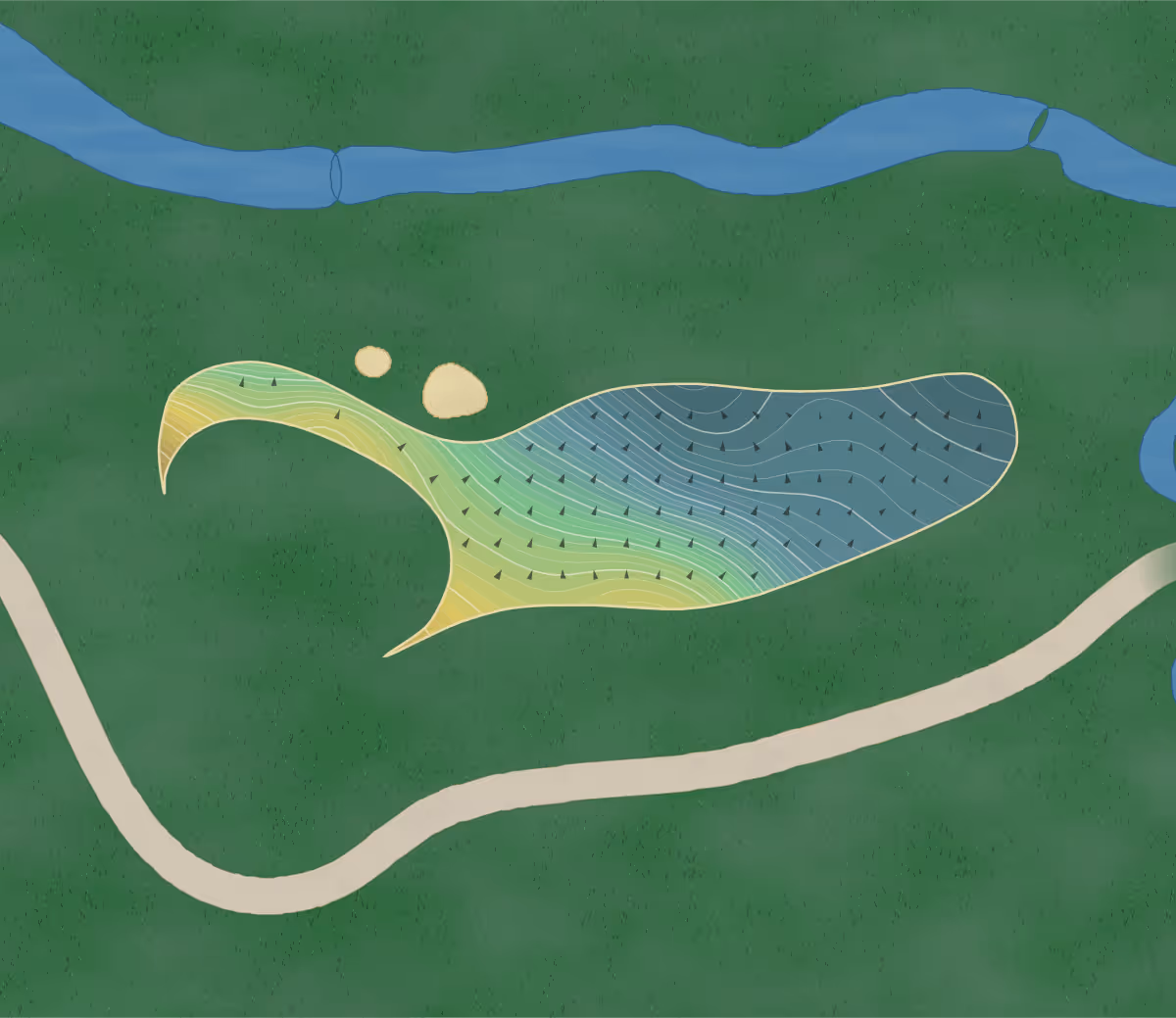 Green contour map of Anne Arundell in Harwood, Maryland — 232 elevation contours at a 3-inch interval with fall-line arrows, traced from 1-meter lidar