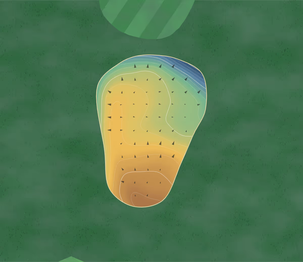 Green contour map of Antill Park in Picton, Australia — 171 elevation contours at a 8-centimeter interval with fall-line arrows, traced from 1-meter lidar