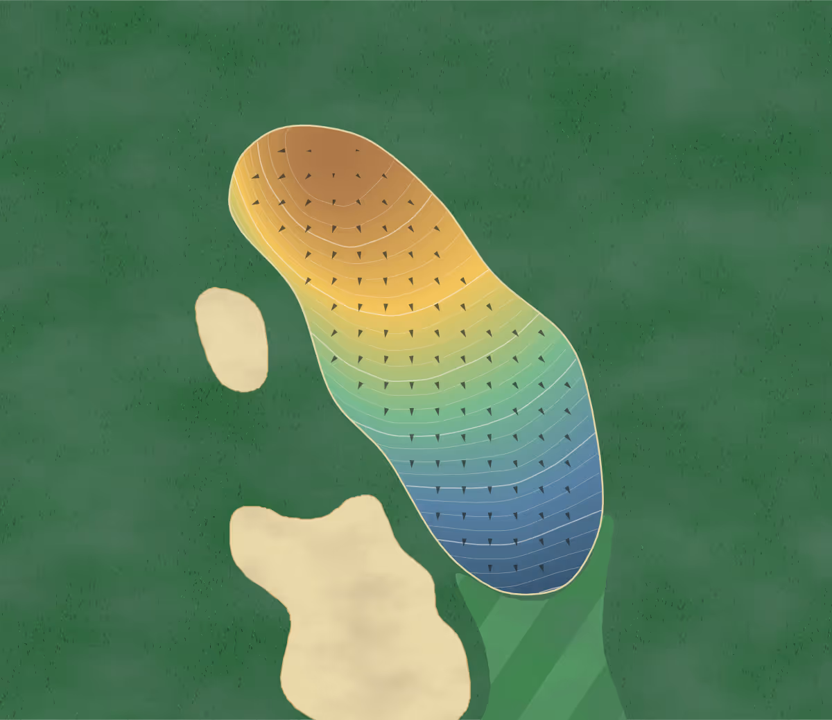 Green contour map of Aomori Royal Golf Club in Japan — 296 elevation contours at a 8-centimeter interval with fall-line arrows, traced from 1-meter lidar