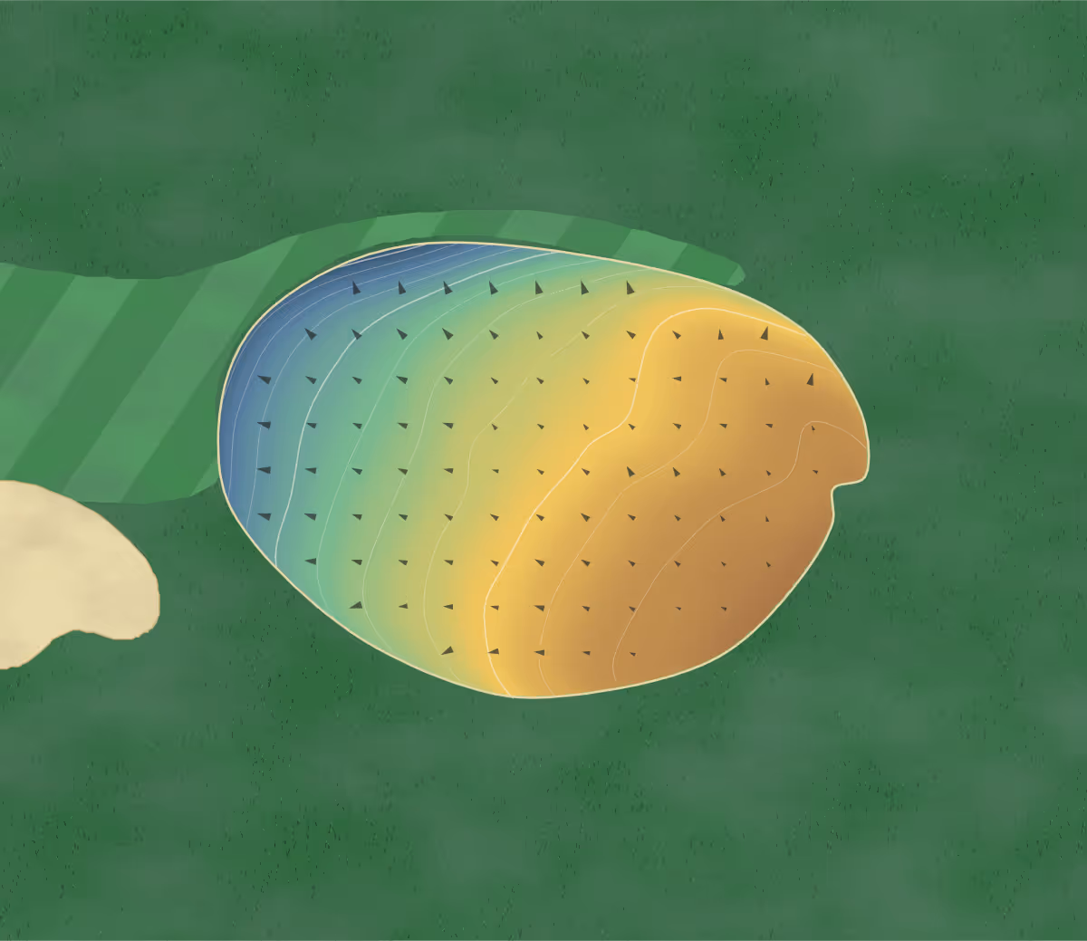 Green contour map of Apple Canyon Lake in Apple River, Illinois: 59 elevation contours at a 3-inch interval with fall-line arrows, traced from 1-meter lidar