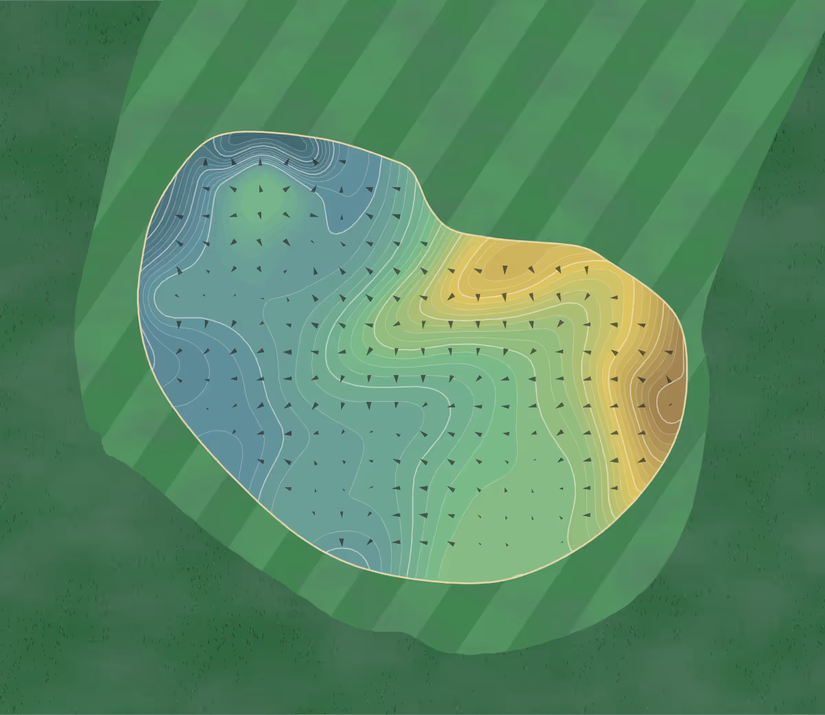 Green contour map of Aquidneck Club in Portsmouth, Rhode Island — 341 elevation contours at a 3-inch interval with fall-line arrows, traced from 1-meter lidar
