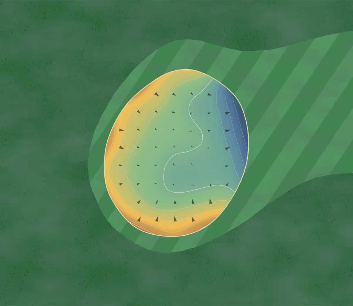 Green contour map of Arcadia Municipal in Arcadia, Florida — 124 elevation contours at a 3-inch interval with fall-line arrows, traced from 1-meter lidar