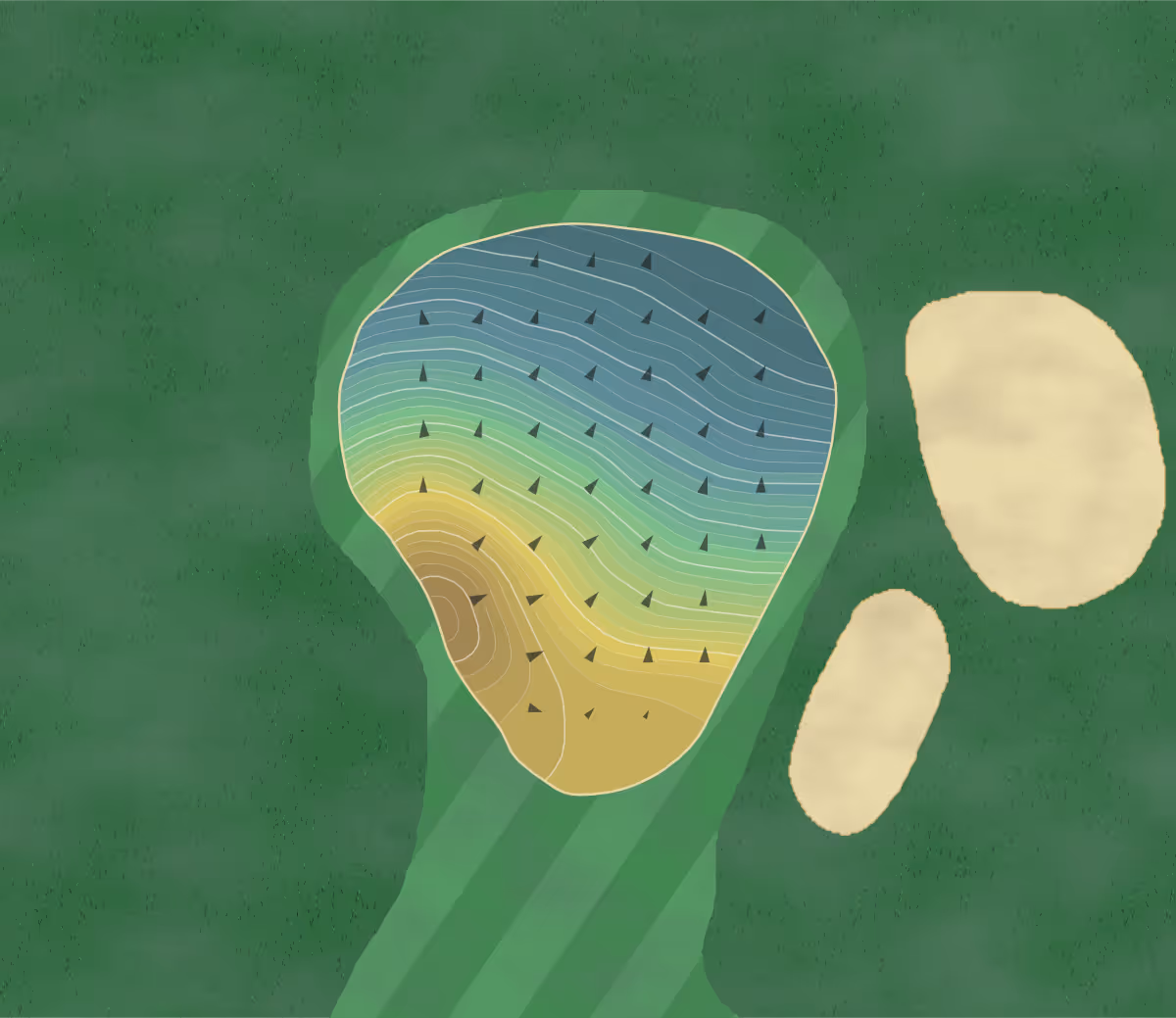 Green contour map of Ardea CC in Oldsmar, Florida — 450 elevation contours at a 3-inch interval with fall-line arrows, traced from 1-meter lidar