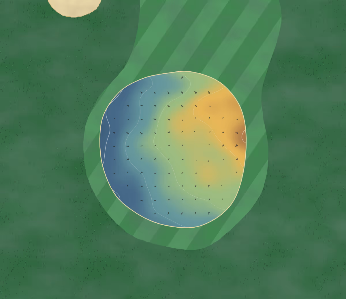 Green contour map of Ardmore in North Saanich, Canada: 5 elevation contours at a 8-centimeter interval with fall-line arrows, traced from 1-meter lidar