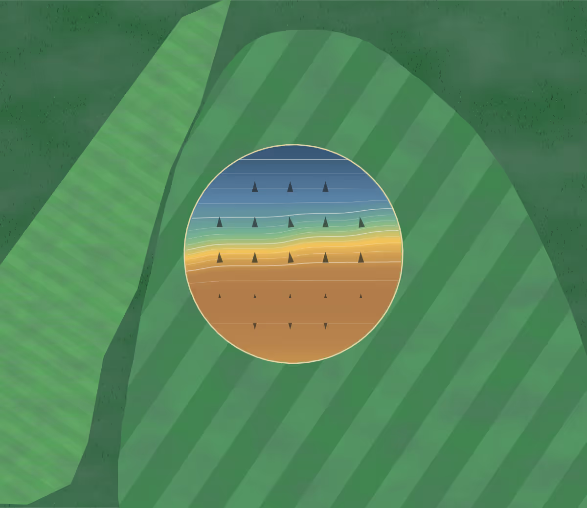 Green contour map of Ardrossan in Ardrossan, Australia — 147 elevation contours at a 8-centimeter interval with fall-line arrows, traced from 1-meter lidar
