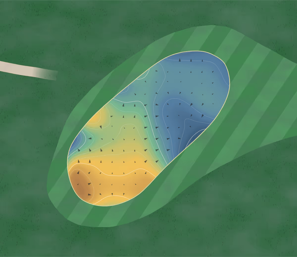 Green contour map of Arikikapakapa in Rotorua, New Zealand — 204 elevation contours at a 8-centimeter interval with fall-line arrows, traced from 1-meter lidar