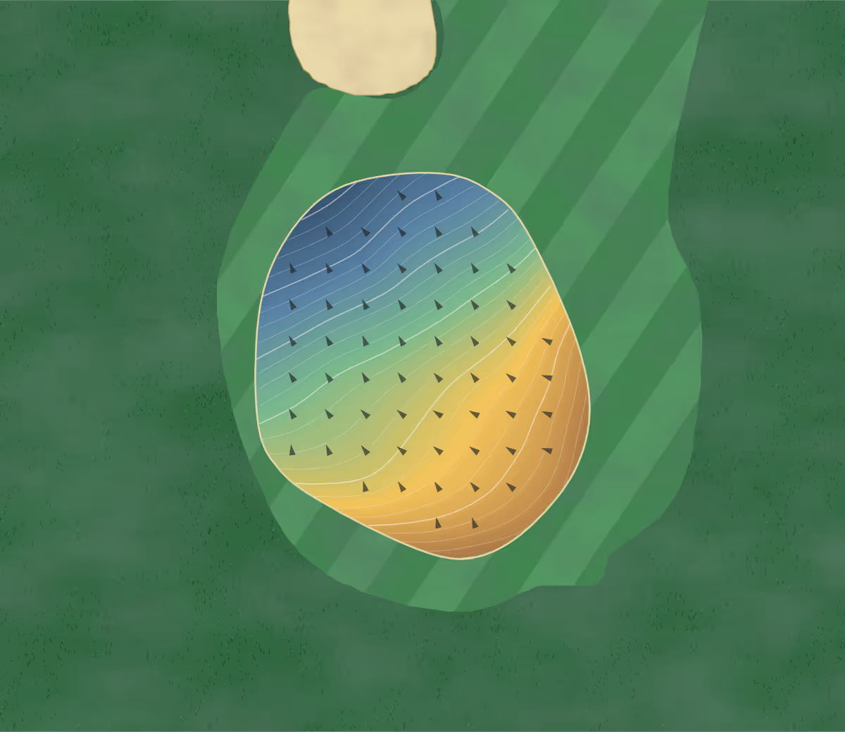 Green contour map of Arkona Fairways in Arkona, Canada — 148 elevation contours at a 8-centimeter interval with fall-line arrows, traced from 1-meter lidar