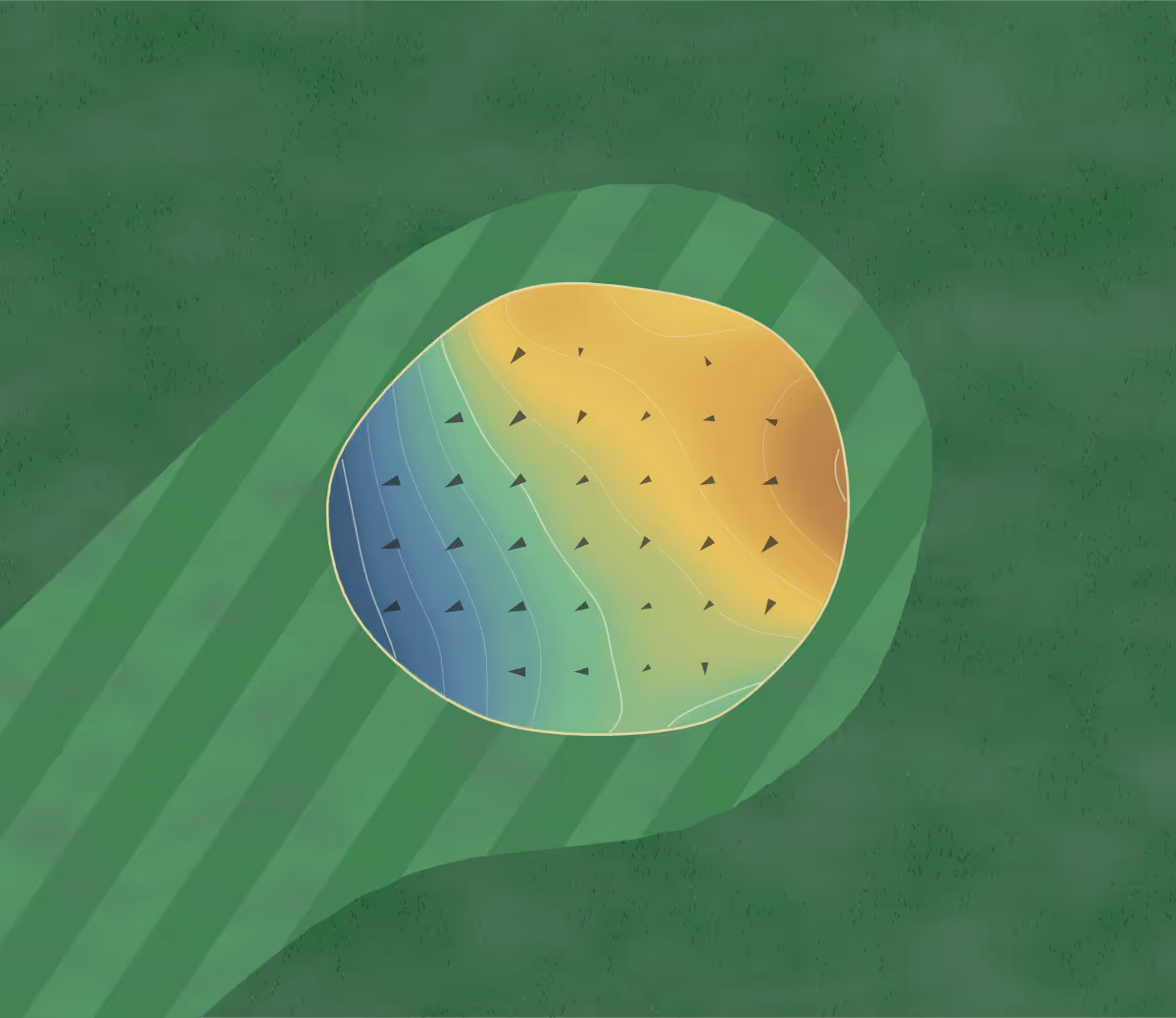 Green contour map of Arlington Park in Fort Wayne, Indiana: 61 elevation contours at a 3-inch interval with fall-line arrows, traced from 1-meter lidar