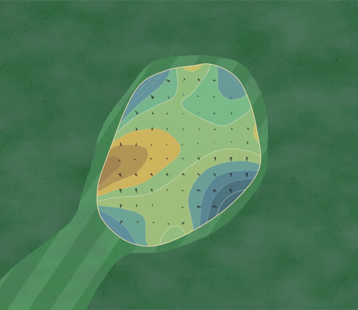 Green contour map of Arlington Ridge in Leesburg, Florida — 166 elevation contours at a 3-inch interval with fall-line arrows, traced from 1-meter lidar