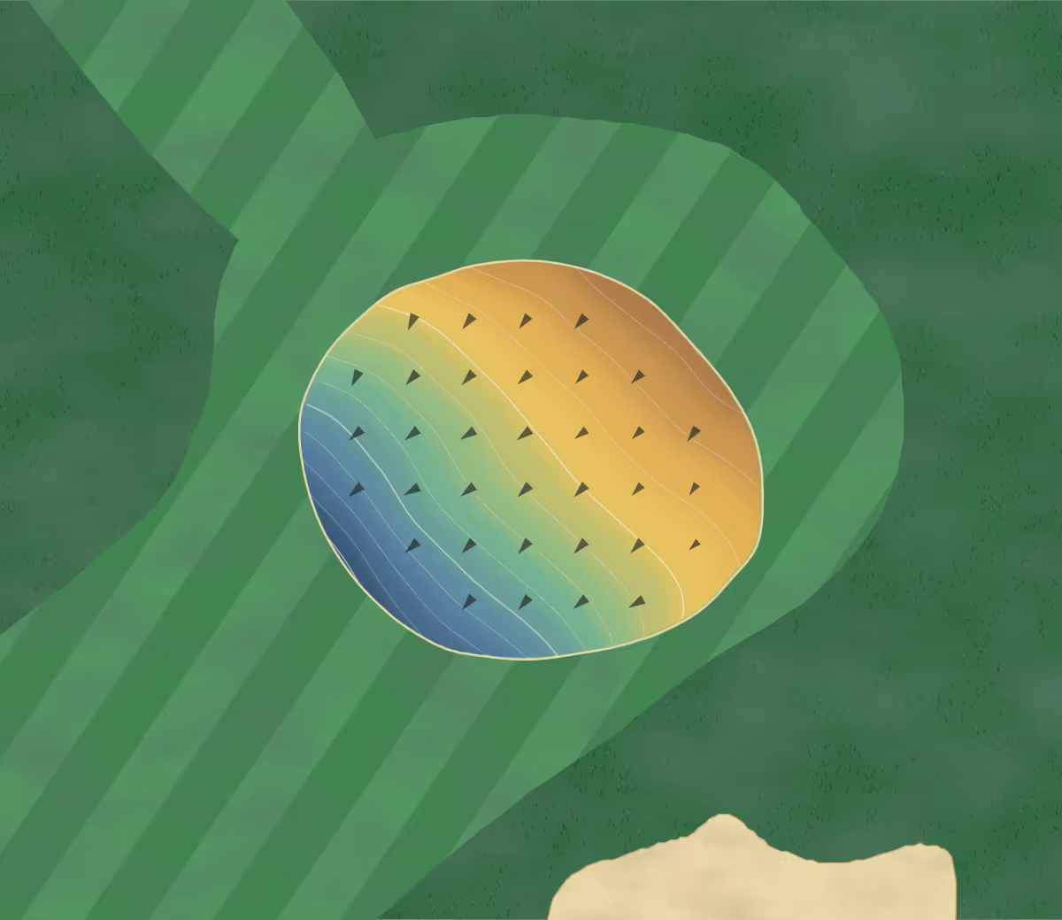 Green contour map of Arrowdale in Brantford, Canada — 70 elevation contours at a 8-centimeter interval with fall-line arrows, traced from 1-meter lidar