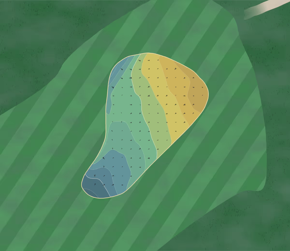 Green contour map of Arrowe Park in Wirral, England — 97 elevation contours at a 8-centimeter interval with fall-line arrows, traced from 1-meter lidar