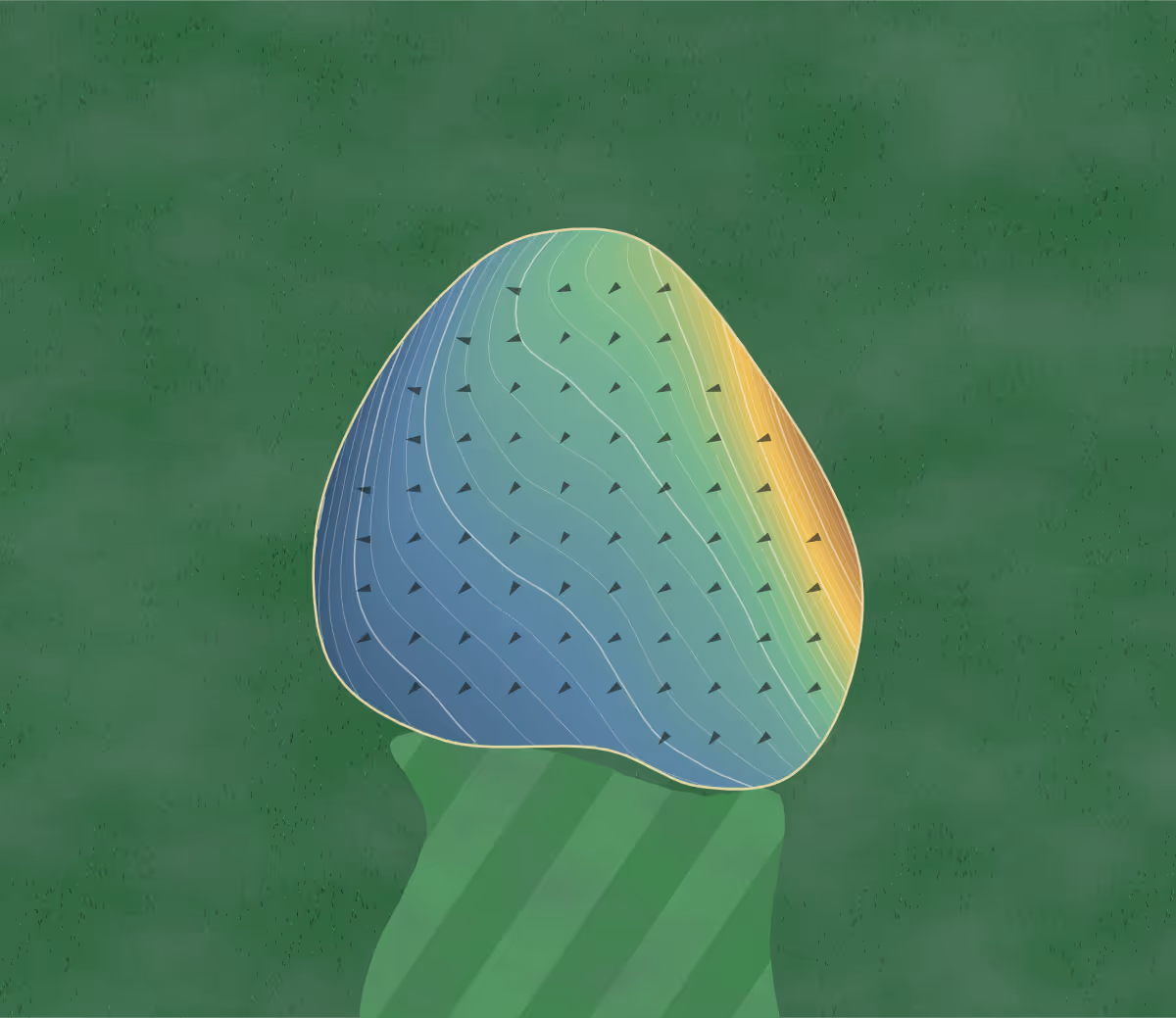Green contour map of Arrowhead in Douglassville, Pennsylvania: 110 elevation contours at a 3-inch interval with fall-line arrows, traced from 1-meter lidar