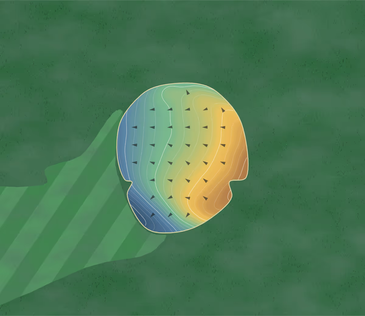 Green contour map of Arrowhead Golf & Grill in Caro, Michigan: 81 elevation contours at a 3-inch interval with fall-line arrows, traced from 1-meter lidar