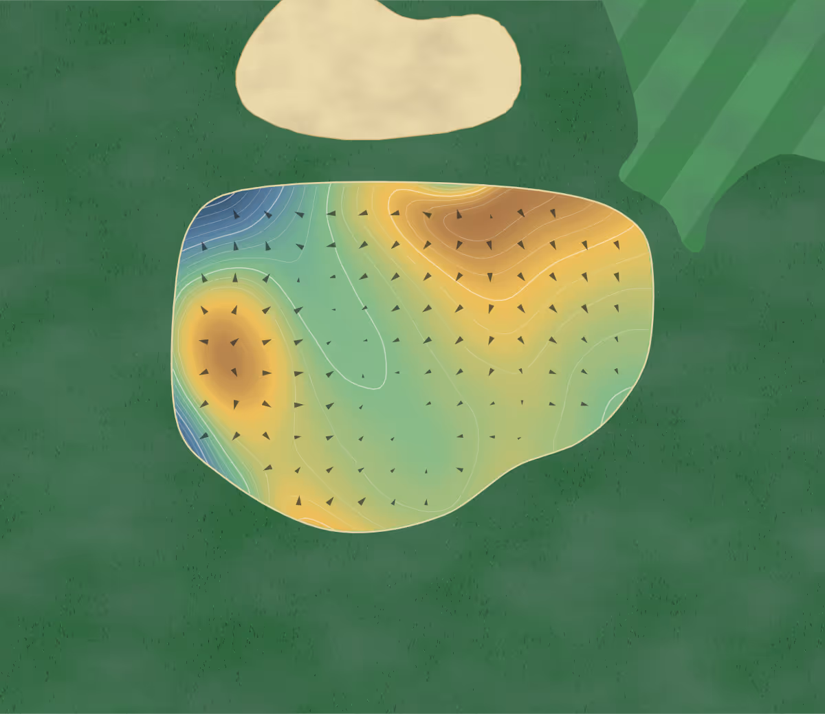 Green contour map of Arrowsmith in Qualicum Beach, Canada: 80 elevation contours at a 8-centimeter interval with fall-line arrows, traced from 1-meter lidar