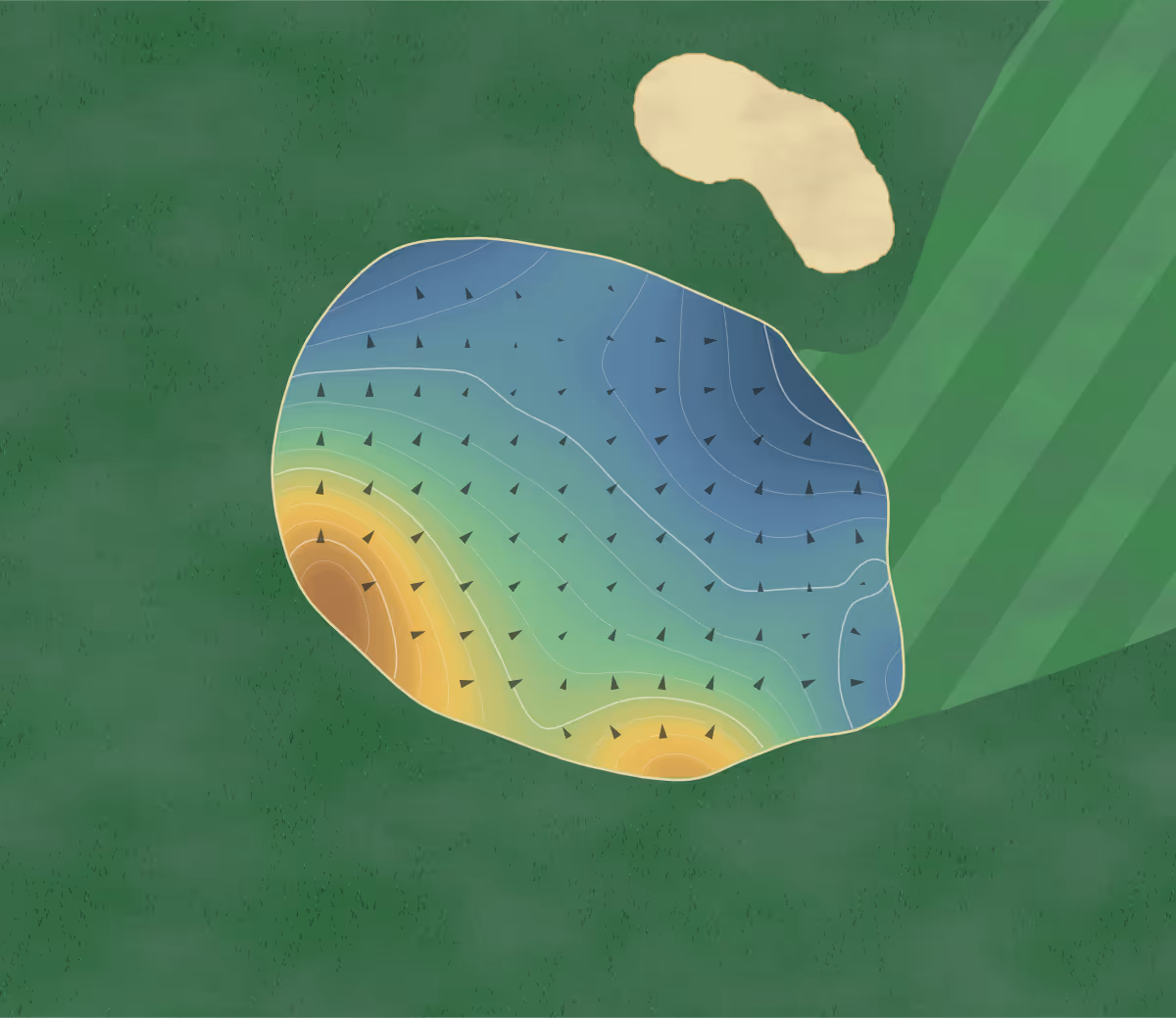 Green contour map of Ashburn Old Course in Halifax, Canada — 242 elevation contours at a 8-centimeter interval with fall-line arrows, traced from 1-meter lidar