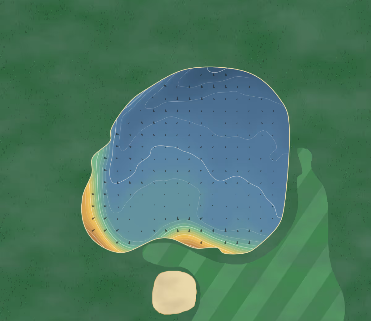 Green contour map of Ashbury Golf Hotel (1000571) - Oakwood in United Kingdom: 243 elevation contours at a 8-centimeter interval with fall-line arrows, traced from 1-meter lidar