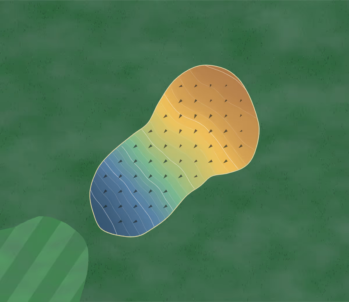 Green contour map of Asheboro CC in Asheboro, North Carolina — 209 elevation contours at a 3-inch interval with fall-line arrows, traced from 1-meter lidar