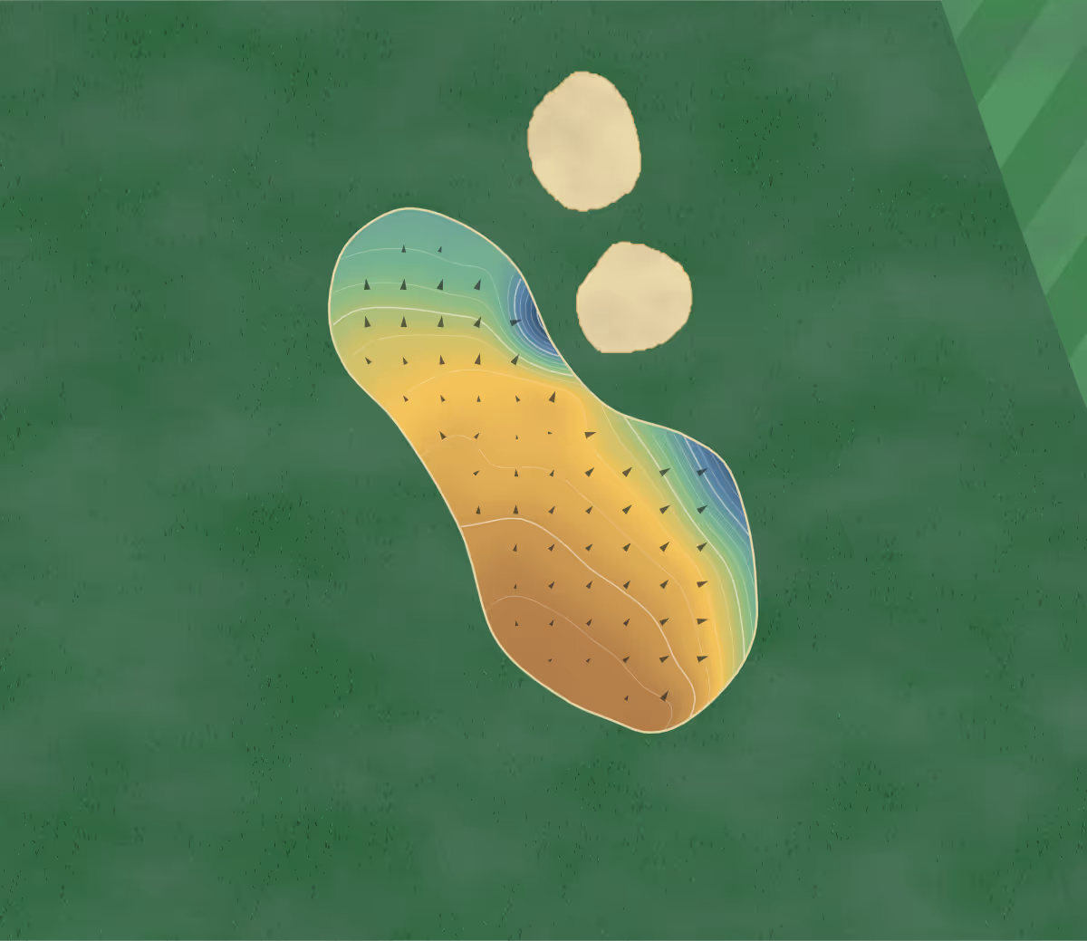 Green contour map of Ashford GC in Ashford, England: 200 elevation contours at a 8-centimeter interval with fall-line arrows, traced from 1-meter lidar