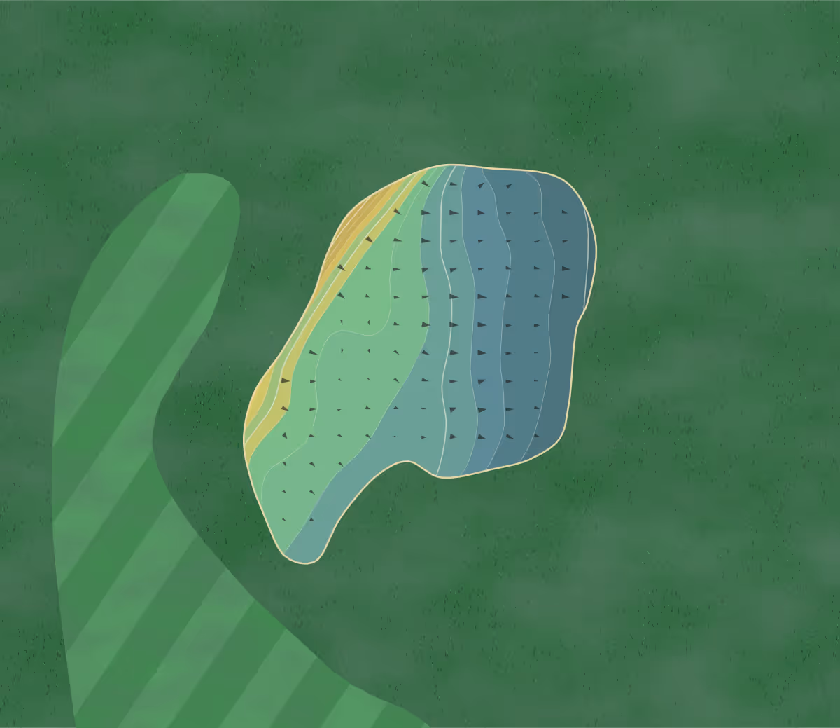 Green contour map of Ashton On in Sale, England — 63 elevation contours at a 8-centimeter interval with fall-line arrows, traced from 1-meter lidar