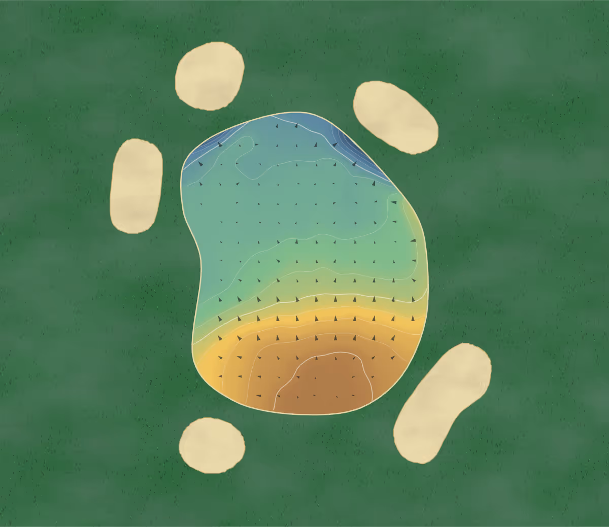 Green contour map of Aston Wood in Sutton Coldfield, England: 167 elevation contours at a 8-centimeter interval with fall-line arrows, traced from 1-meter lidar