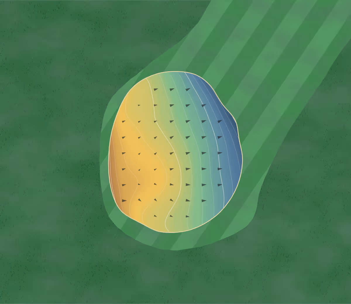 Green contour map of Athens CC in Athens, Ohio: 42 elevation contours at a 3-inch interval with fall-line arrows, traced from 1-meter lidar