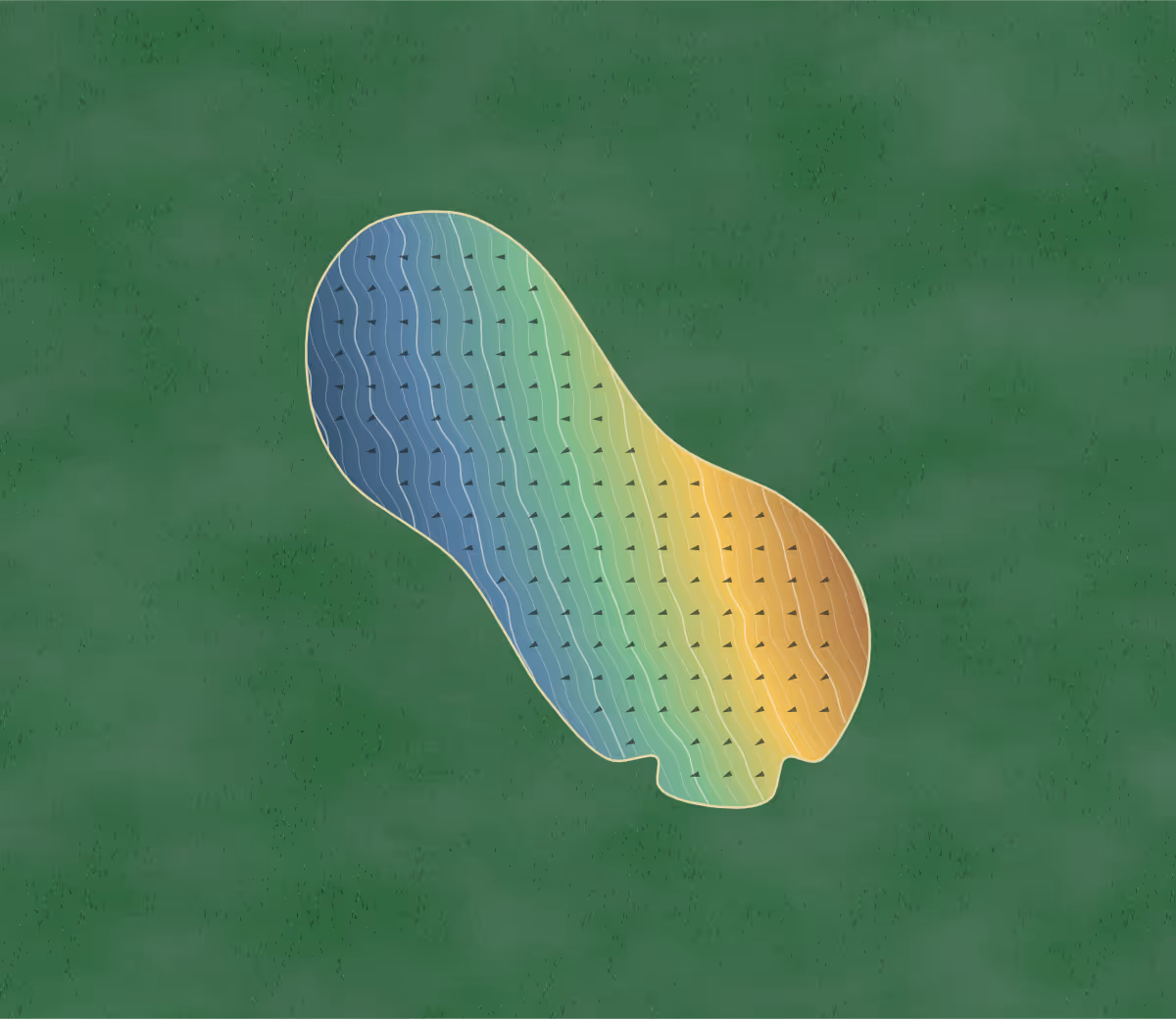 Green contour map of Auchmill in Aberdeen, Scotland: 202 elevation contours at a 8-centimeter interval with fall-line arrows, traced from 1-meter lidar
