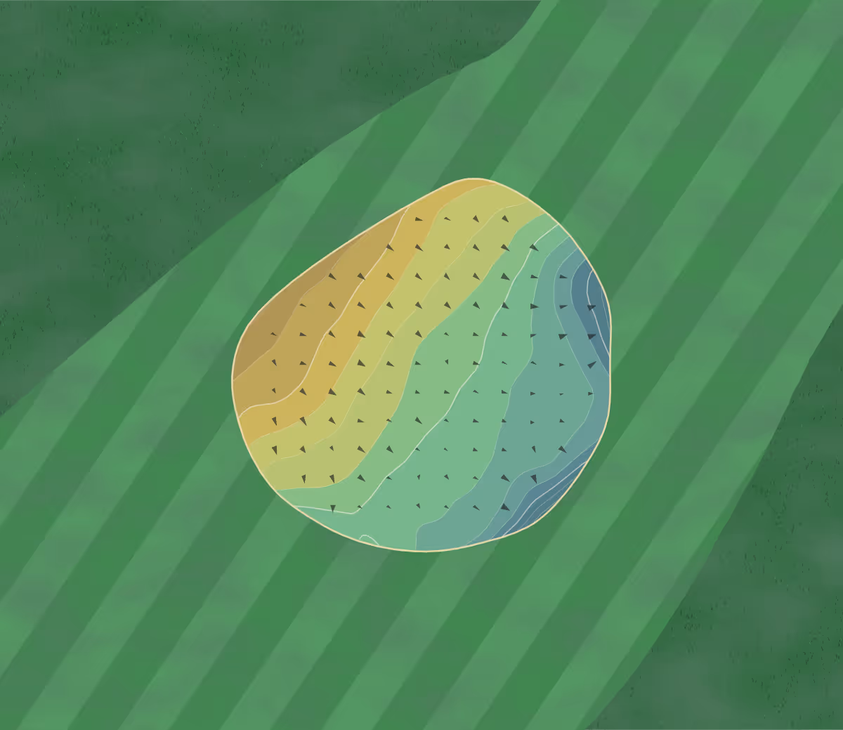 Green contour map of Auchterderran in Lochgelly, Scotland — 97 elevation contours at a 8-centimeter interval with fall-line arrows, traced from 1-meter lidar